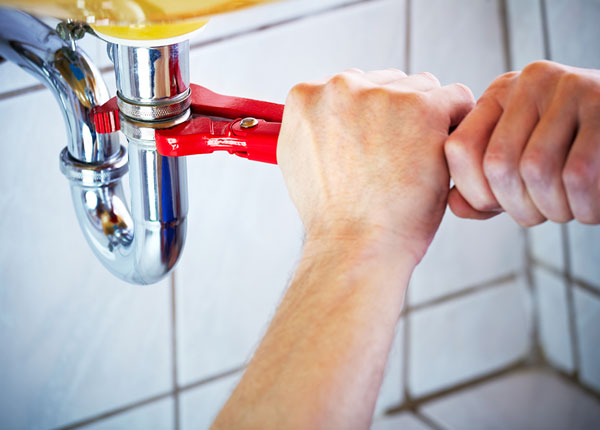 About Newtonia Plumbers